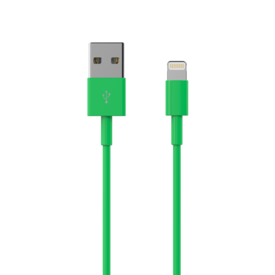 Câble de charge -USB  A 2,0 - Lightning  1.00 m Vert