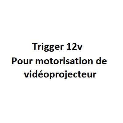 System de contrôle Trigger 12v