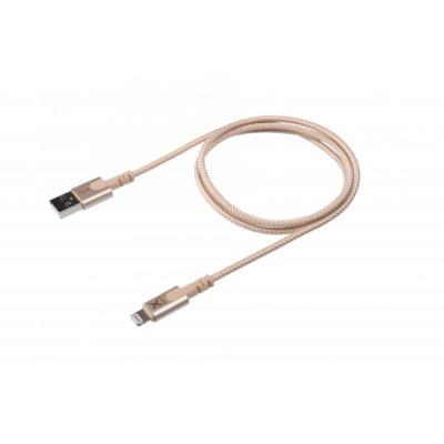 Câble Original USB - Lightning 1.00m doré