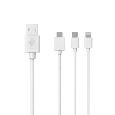 CORDON USB-C / MULTIFORMAT